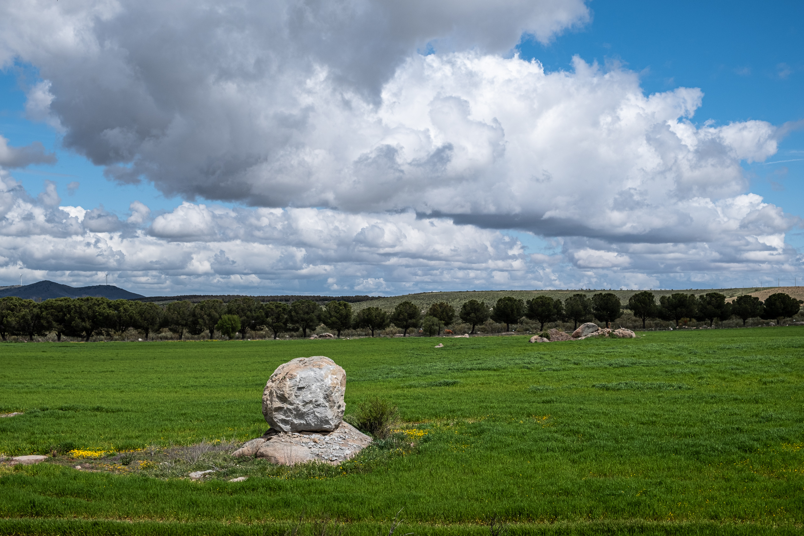 Grüne Felder mit Felsblock bei Burguillos de Toledo